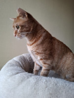 /album/26-02-20261/whatsapp-image-2026-02-26-at-17-59-56-jpeg/